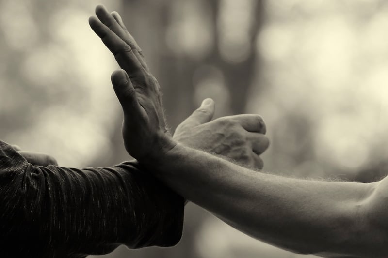 Tai Chi Push Hands Practice